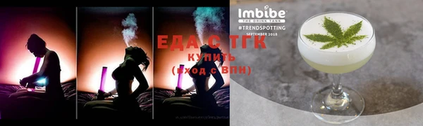 мдпв Инсар