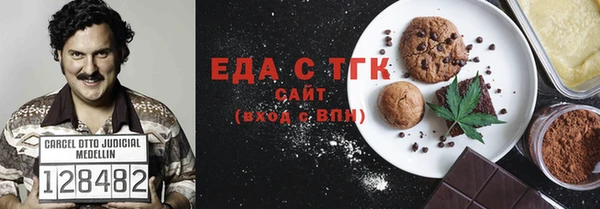 мдпв Инсар
